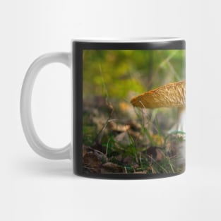 Poisonous fly agaric mushroom Mug